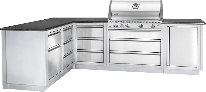 Napolean Built-in LEX 605 RBI with Infrared Bottom and Rear Burners  5 Burners